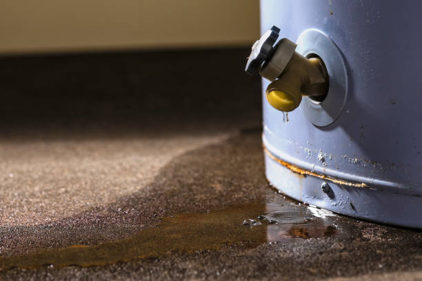 Best Water damage restoration cost  in Massanutten, VA
