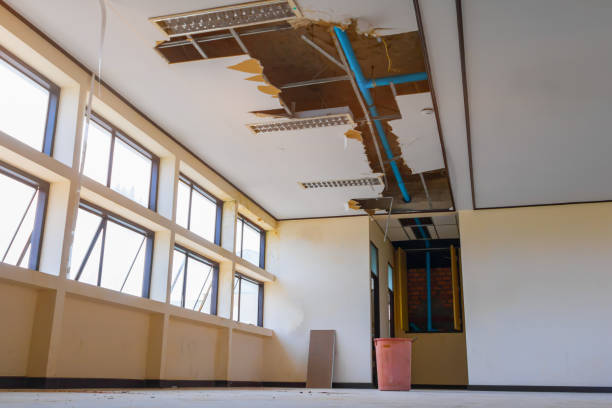 Best Water damage restoration near me  in Massanutten, VA