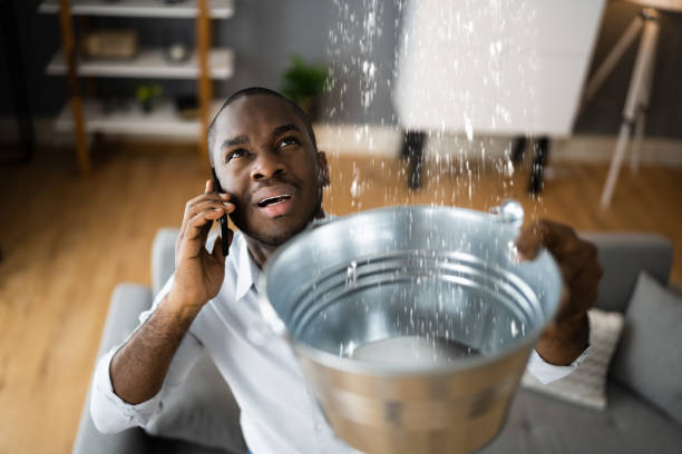 Best Water damage mitigation services  in Massanutten, VA