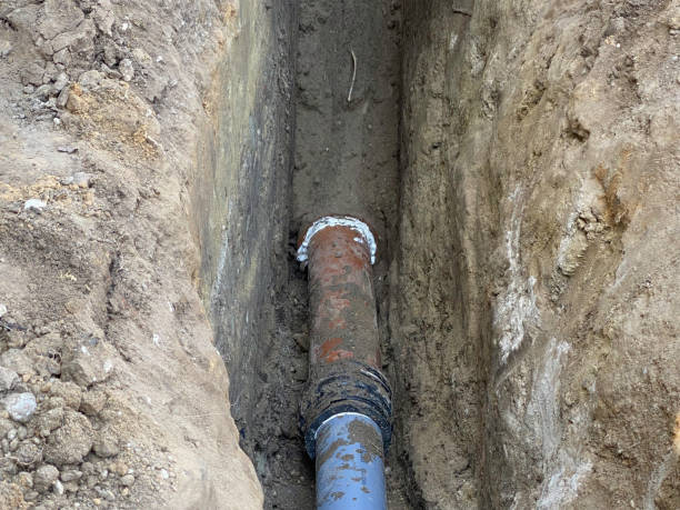 Best Basement water damage restoration  in Massanutten, VA