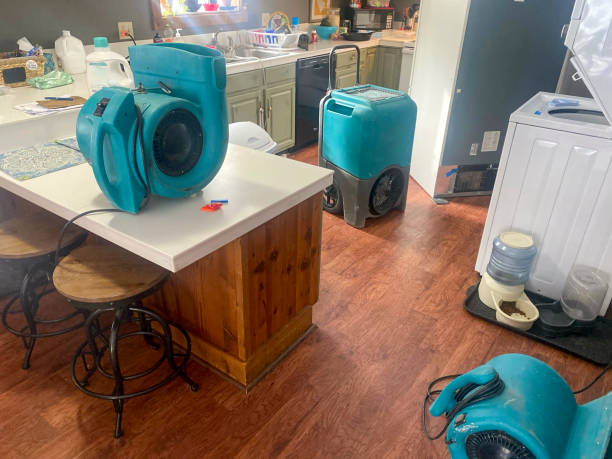 Best Water damage contractors near me  in Massanutten, VA