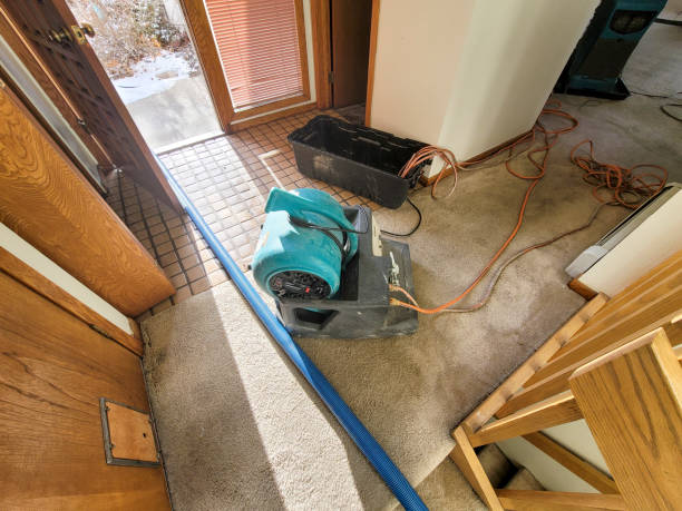 Trusted VA Water damage restoration Experts