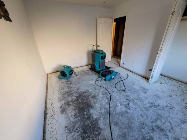Best Flood restoration services  in Massanutten, VA