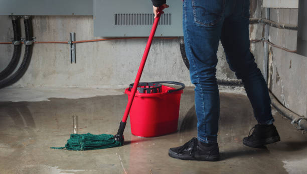 Best Water damage contractors near me  in Massanutten, VA