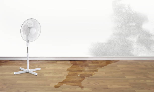 Best 24/7 water damage repair  in Massanutten, VA