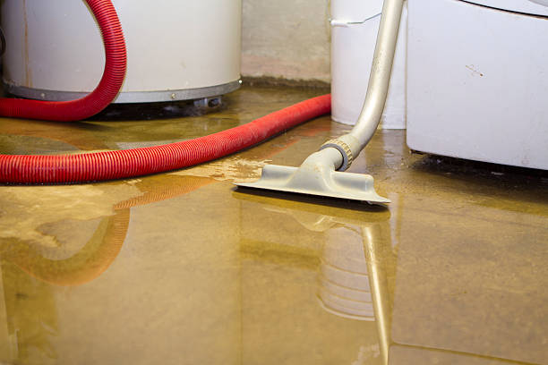 Best 24-hour water damage restoration  in Massanutten, VA