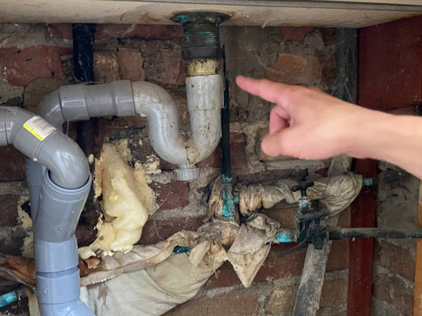 Best Fire Damage Restoration  in Massanutten, VA